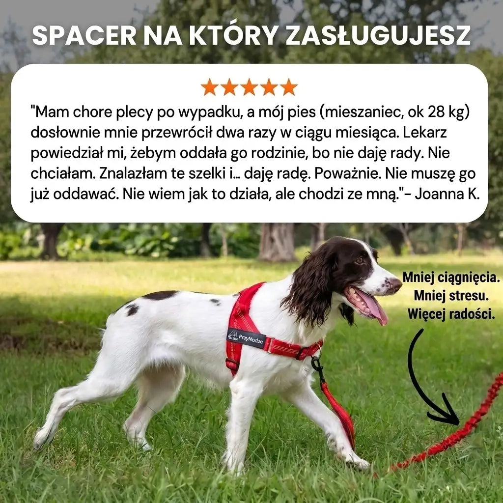 PrzyNodze™