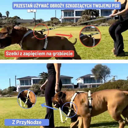 PrzyNodze™
